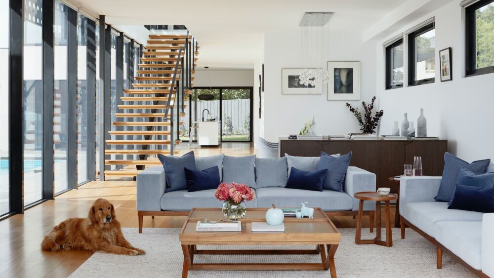 Bright modern living room with golden retriever