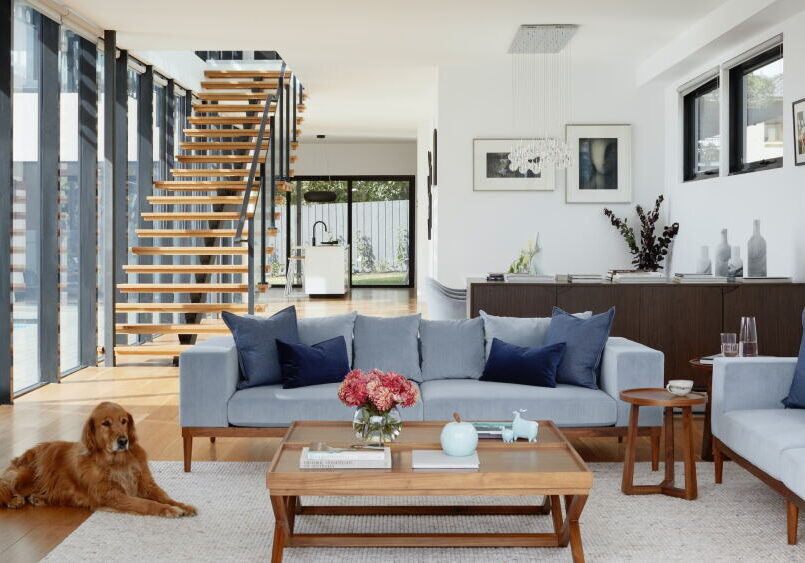 Bright modern living room with golden retriever